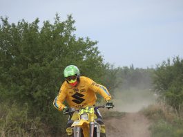 Schönebeck 2015: Bilder und Videos!