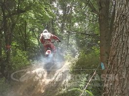 Rund um den Hummelberg 2016 – erste Bilder!