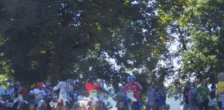 6. Classic Geländefahrt Rund um den Steinsberg