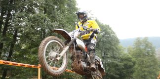 3. Frühlingserwachen in Neuhaus-Schierschnitz