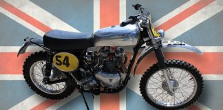 TriBSA: die Verwandlung zum Edel-Bastard tribsa