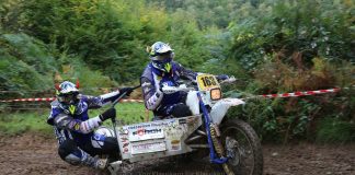 Schimmeldewog – Classic Teil 3