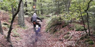 1. Sept. – Aktuell- Veranstaltungsabsage für Schimmeldewog!