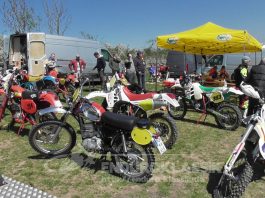 Klassiktraining in Hamma