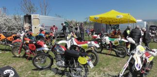 Klassiktraining in Hamma