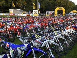 Aktuelle Änderungen, DEM – NEWS