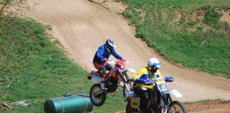 Training Hamma