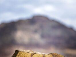 Red Bull Erzbergrodeo – Buchvorstellung